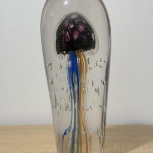 Meduse Multicolori (Multicolor Jellyfish)